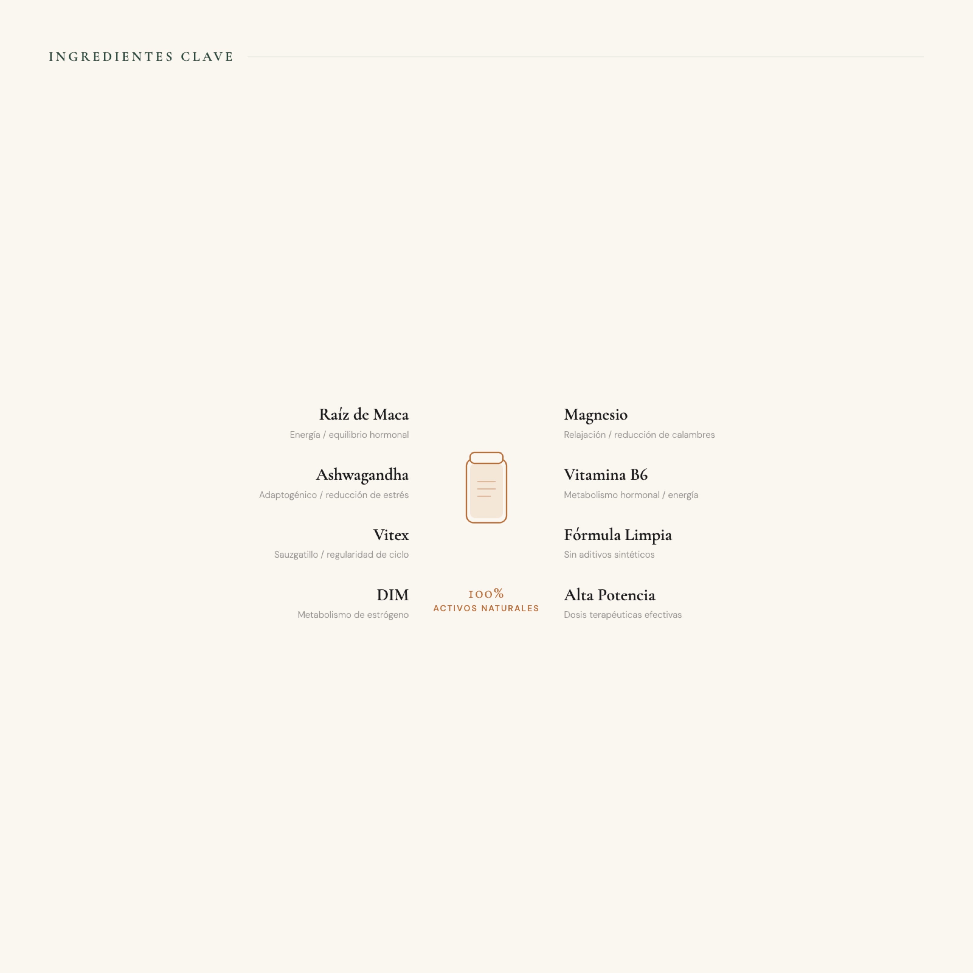 Golden Milk PADAM® | Mezcla funcional de cúrcuma, superfoods y adaptógenos 