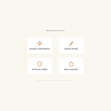 Hair Brush & Scalp Massager