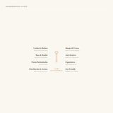 Hair Brush & Scalp Massager