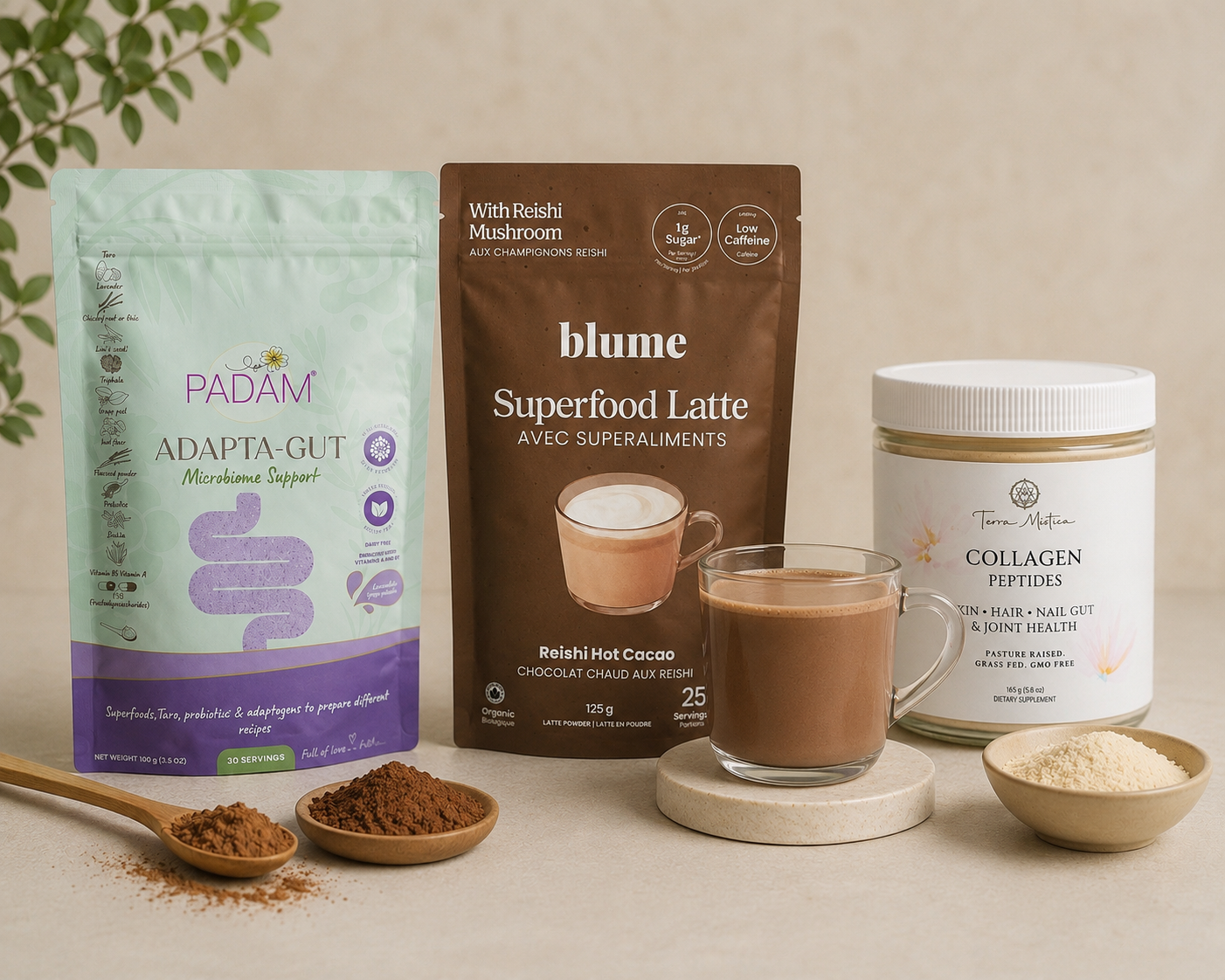 Cacao caliente con Reishi